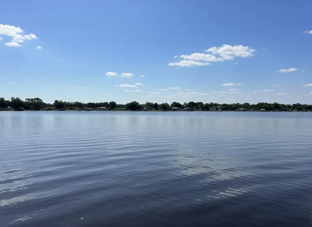3704 SWANS LANDING DRIVE Land O Lakes, FL 34639