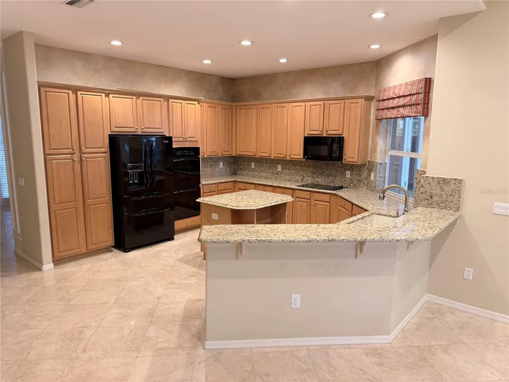 3704 SWANS LANDING DRIVE Land O Lakes, FL 34639