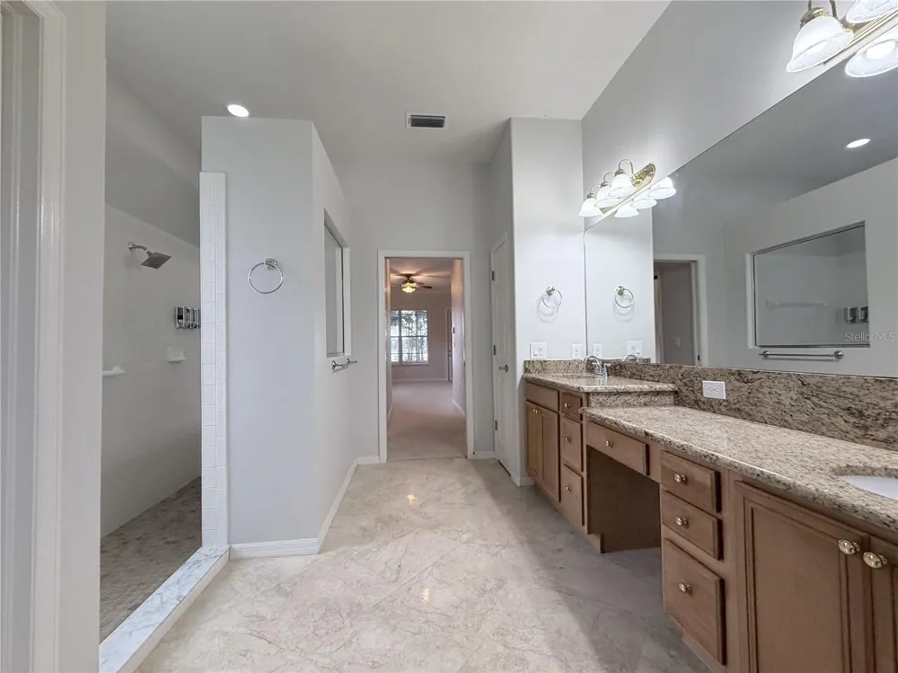 3704 SWANS LANDING DRIVE Land O Lakes, FL 34639