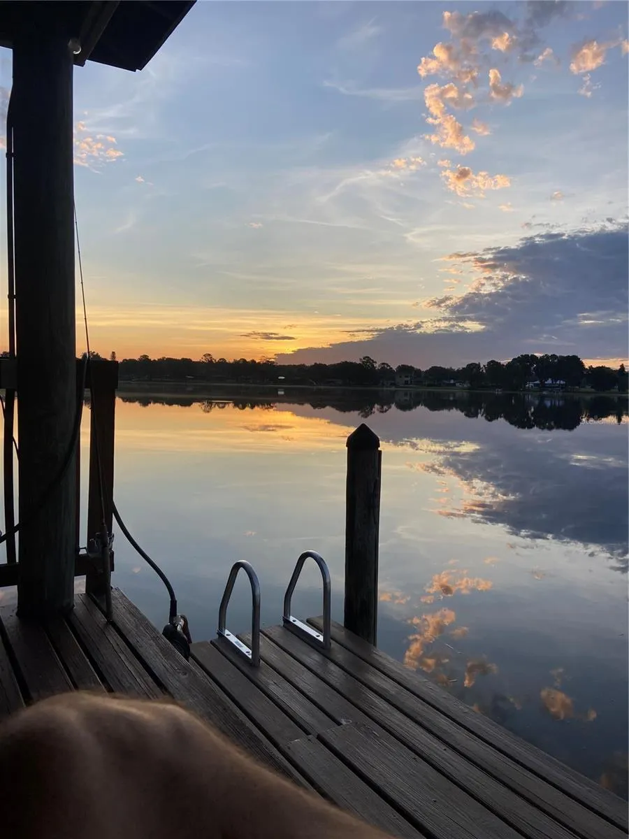 3704 SWANS LANDING DRIVE Land O Lakes, FL 34639