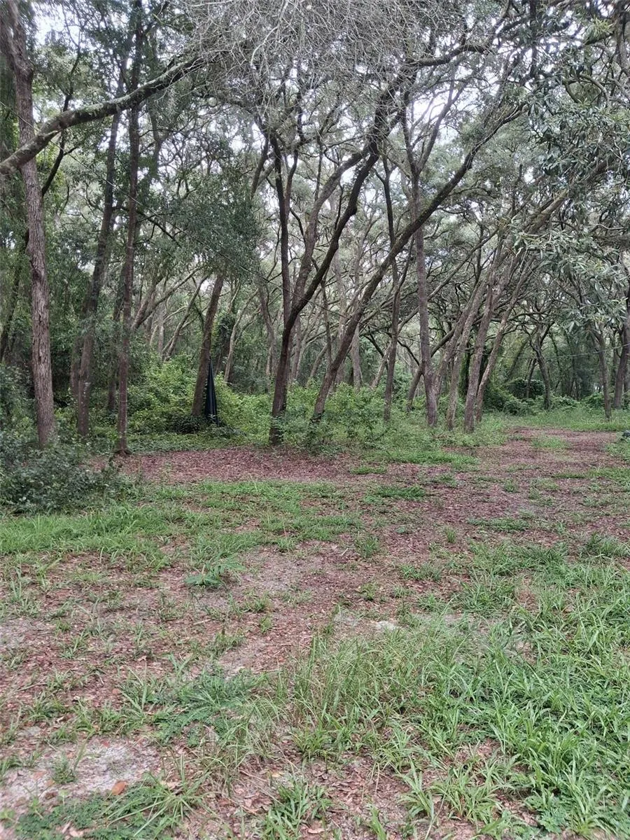 7484 SW 150TH STREET Dunnellon, FL 34432