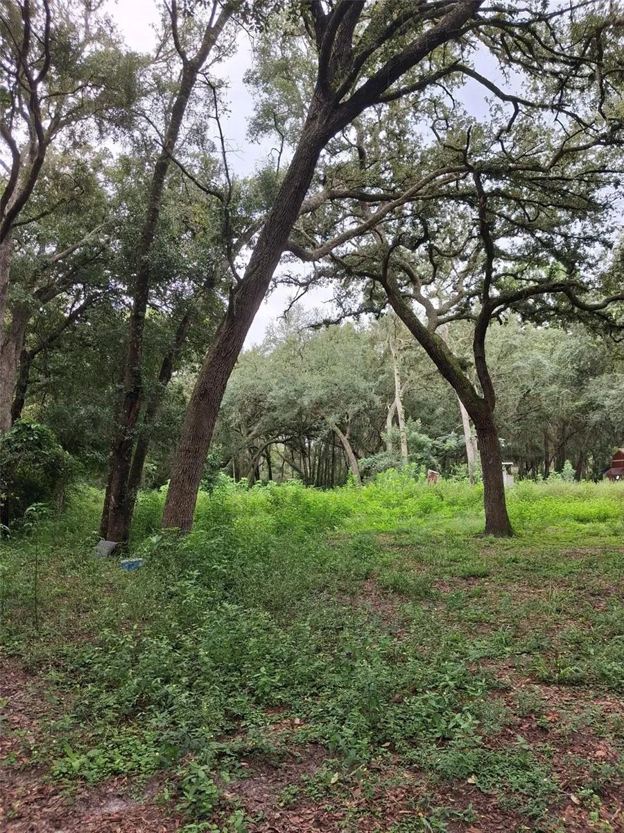 7484 SW 150TH STREET Dunnellon, FL 34432