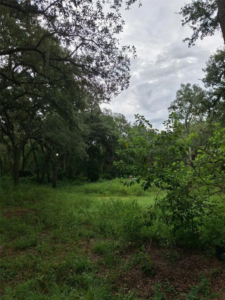 7484 SW 150TH STREET Dunnellon, FL 34432