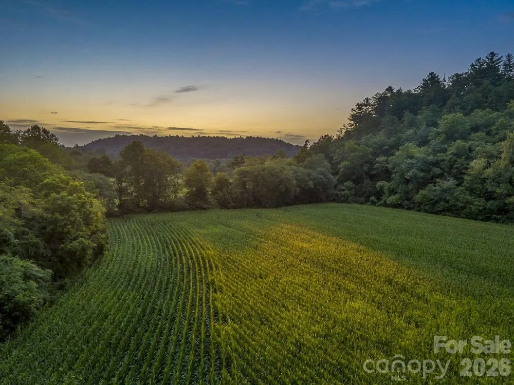7513 Boylston Highway Mills River, NC 28759