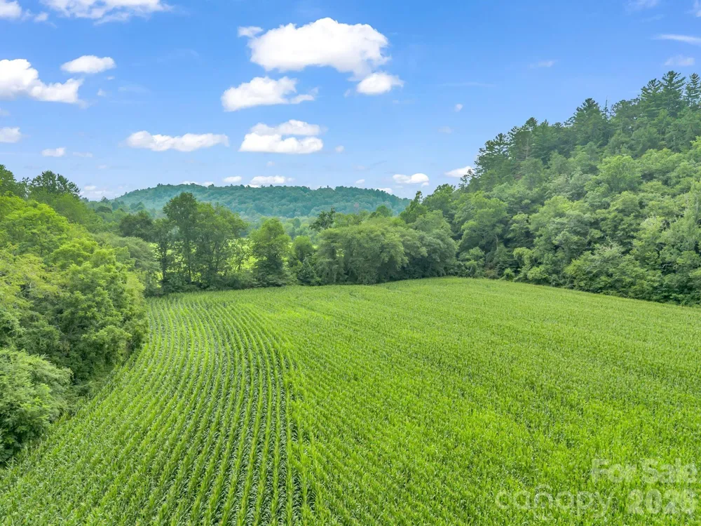 7513 Boylston Highway Mills River, NC 28759