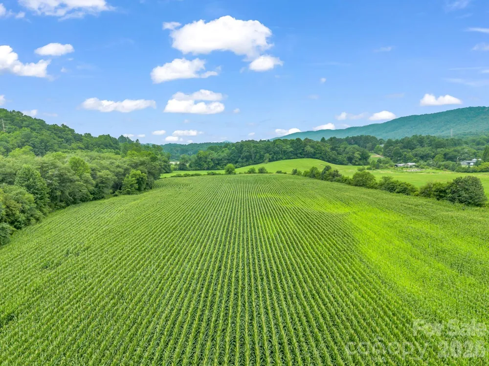 7513 Boylston Highway Mills River, NC 28759