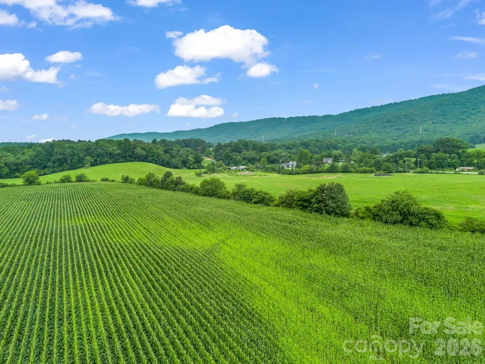 7513 Boylston Highway Mills River, NC 28759