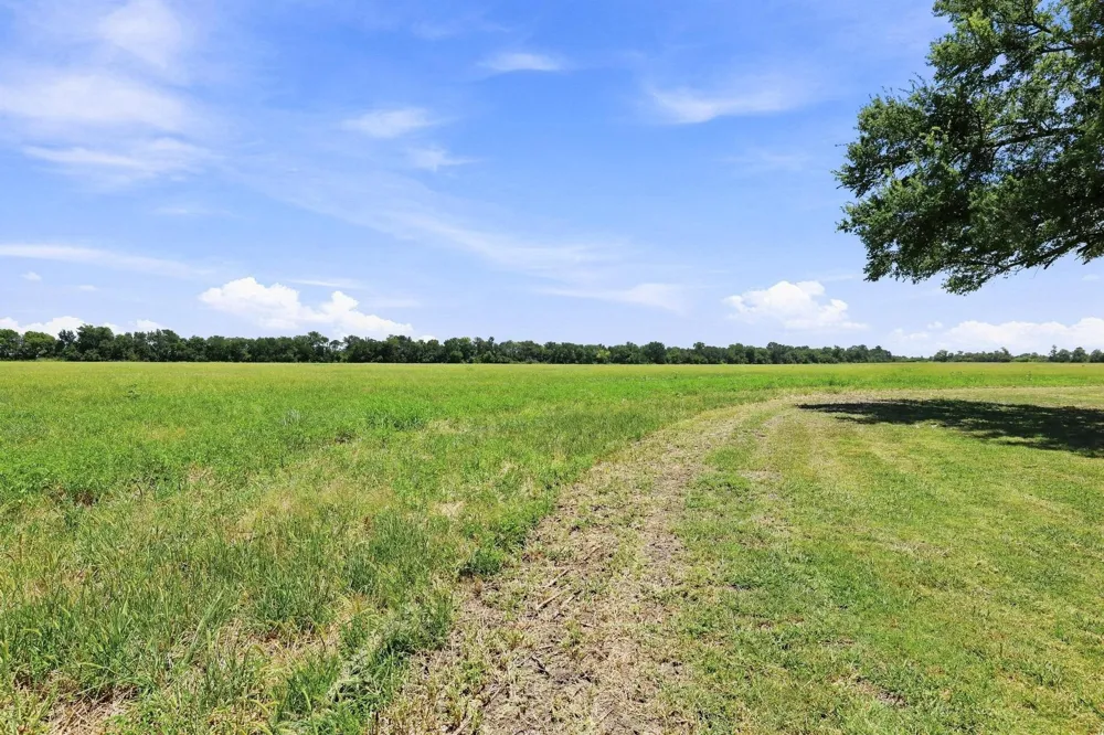12097 Kyle Lane Blue Ridge, TX 75424