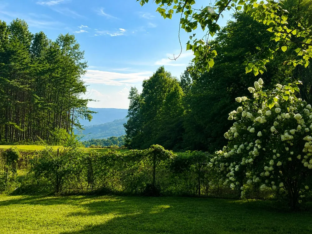 1824 Jackson Point Road Sewanee, TN 37375