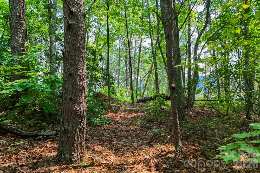 3815 Bat Cave Road Old Fort, NC 28762
