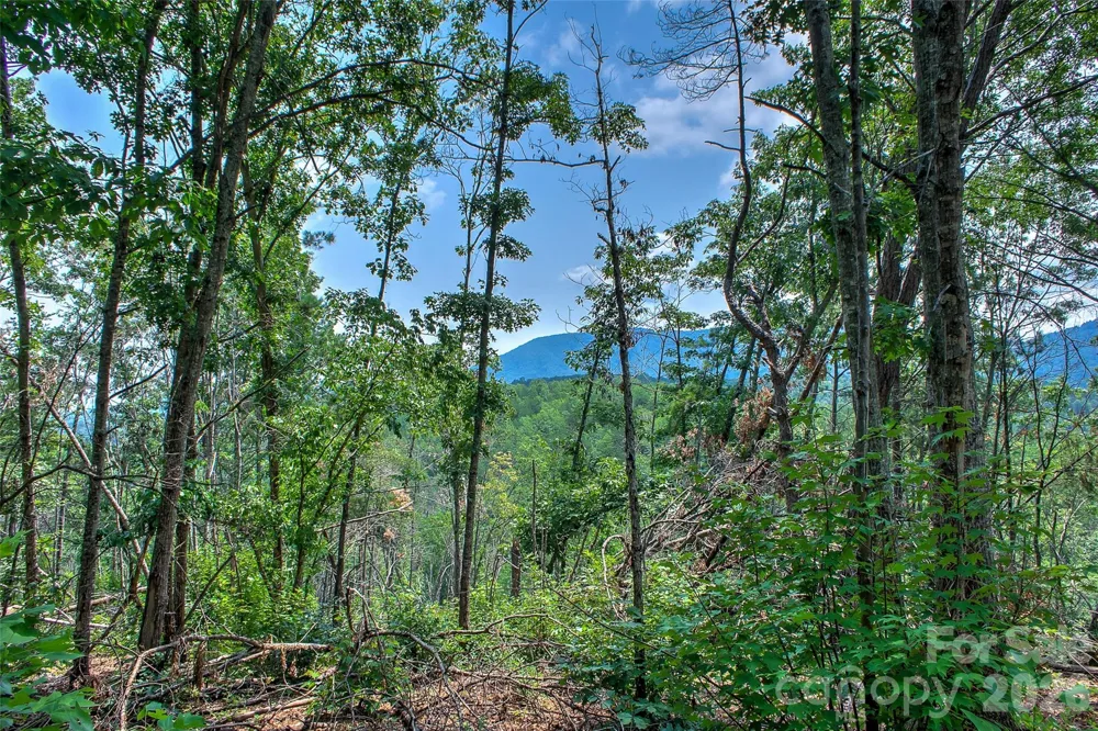 3815 Bat Cave Road Old Fort, NC 28762