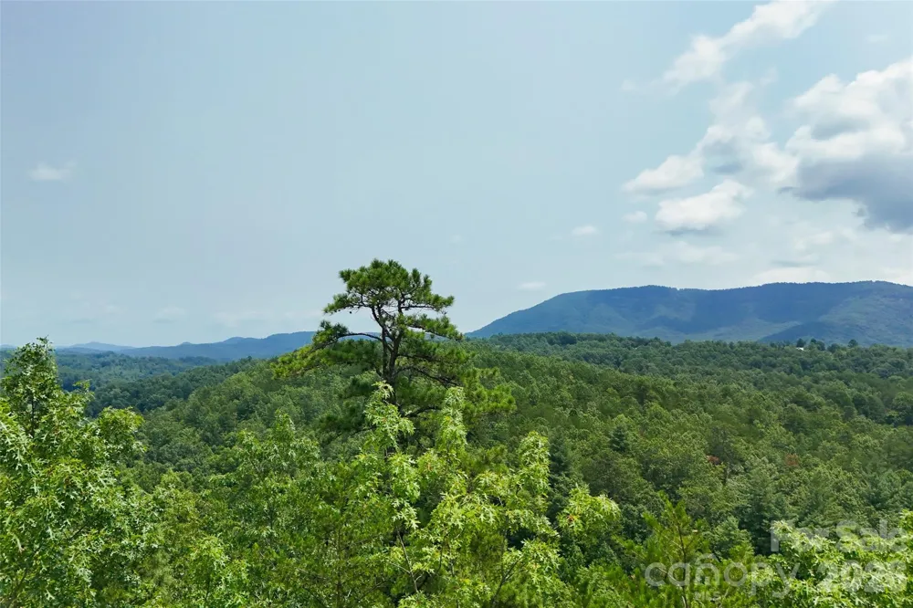3815 Bat Cave Road Old Fort, NC 28762