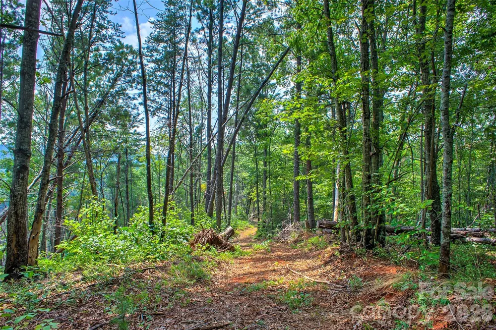 3815 Bat Cave Road Old Fort, NC 28762