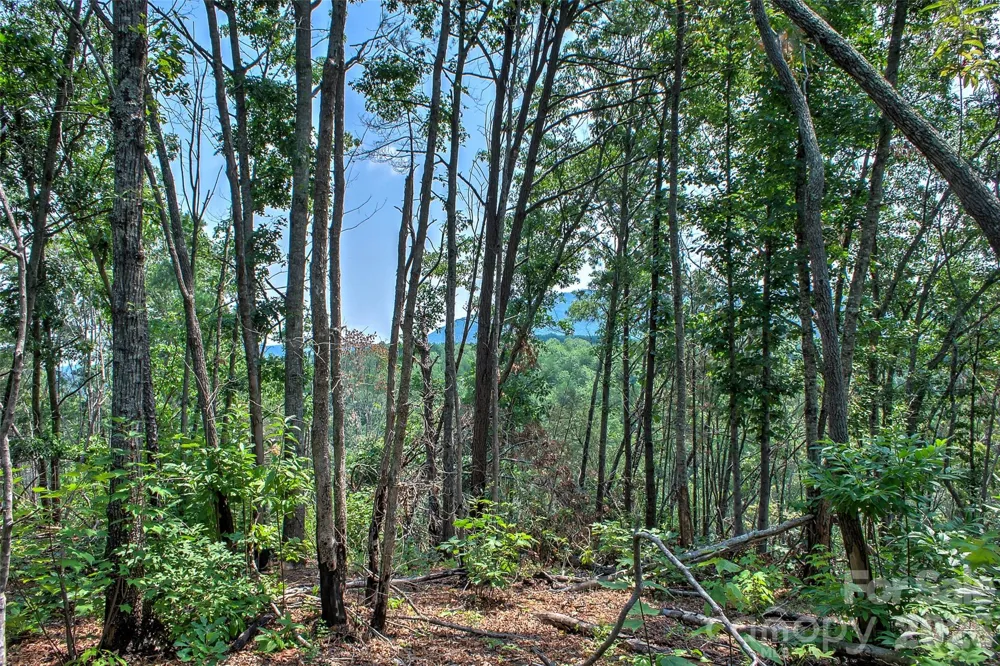 3815 Bat Cave Road Old Fort, NC 28762
