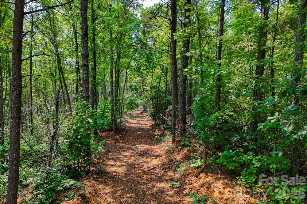 3815 Bat Cave Road Old Fort, NC 28762