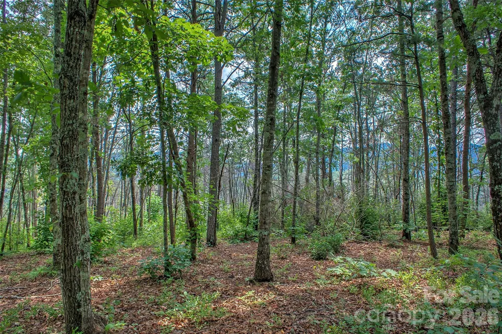3815 Bat Cave Road Old Fort, NC 28762
