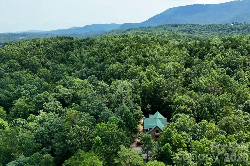3815 Bat Cave Road Old Fort, NC 28762