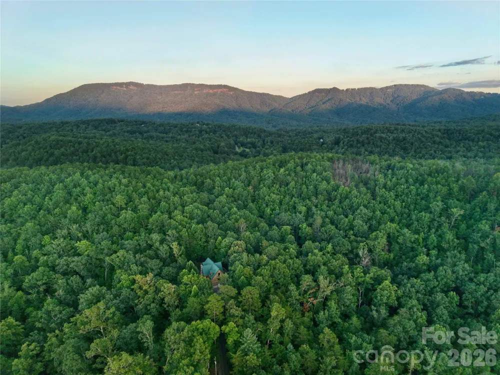 3815 Bat Cave Road Old Fort, NC 28762
