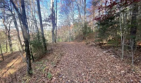 1 BAREFOOT HILLS