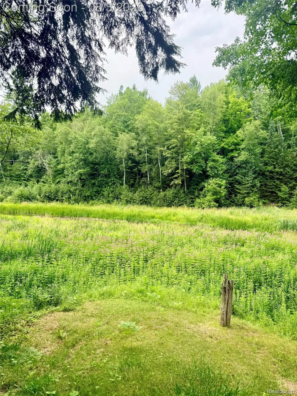 2830 River Ridge Road Bourret Township, MI 48610