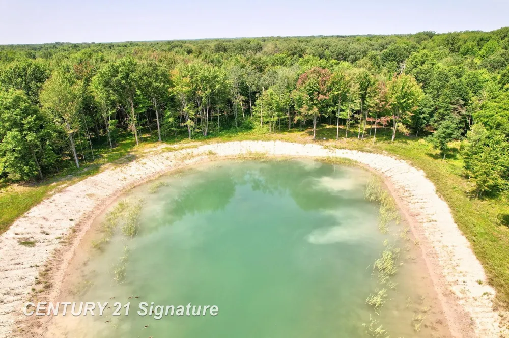 2250 S Hemlock Road Fremont Township, MI 48626