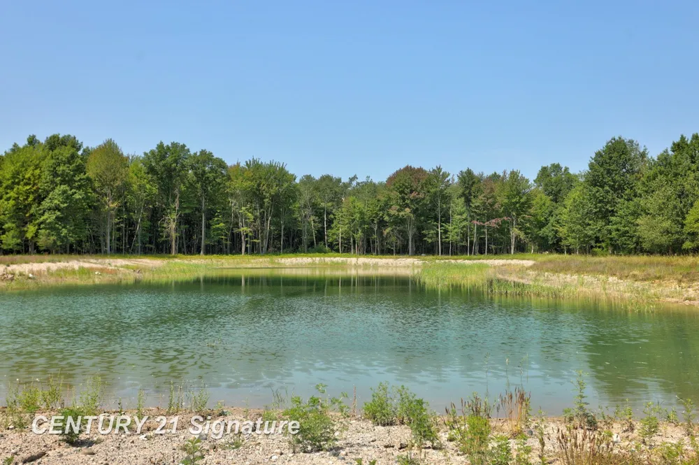 2250 S Hemlock Road Fremont Township, MI 48626