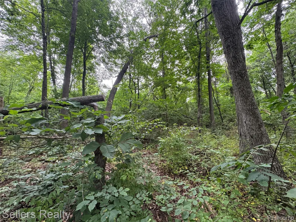 3030 Grange Hall Road Groveland Township, MI 48462