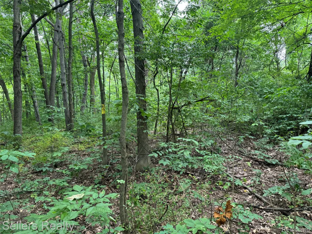 3030 Grange Hall Road Groveland Township, MI 48462