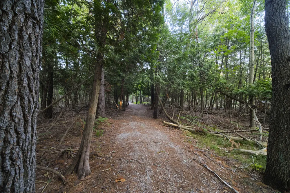 8807 Lake Park Drive Onekama Township, MI 49675