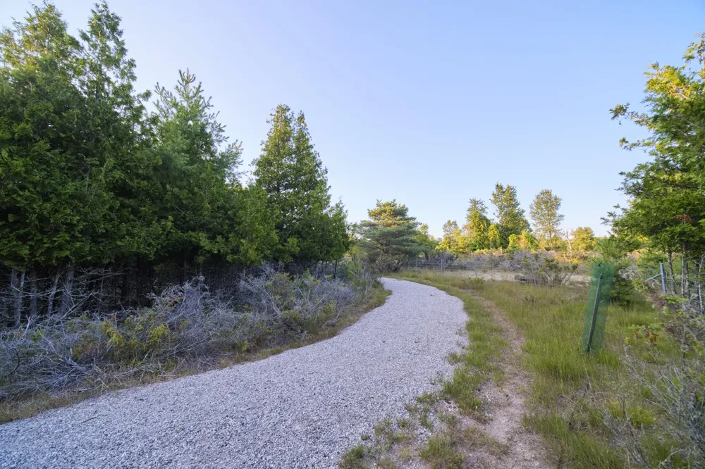 8807 Lake Park Drive Onekama Township, MI 49675
