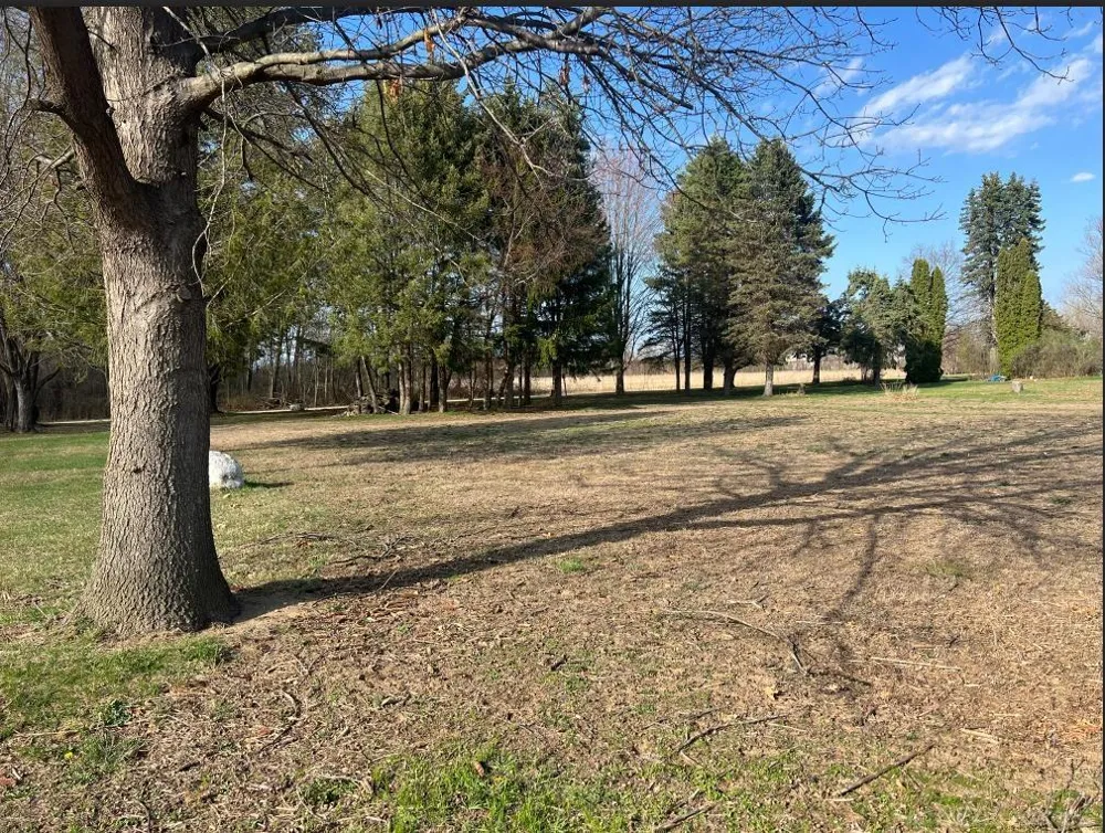 24496 renata Drive Macomb Township, MI 48042