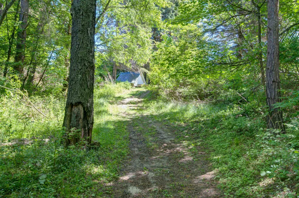 152 Sunset Drive Crystal Lake Township, MI 49636
