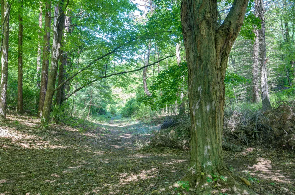 152 Sunset Drive Crystal Lake Township, MI 49636