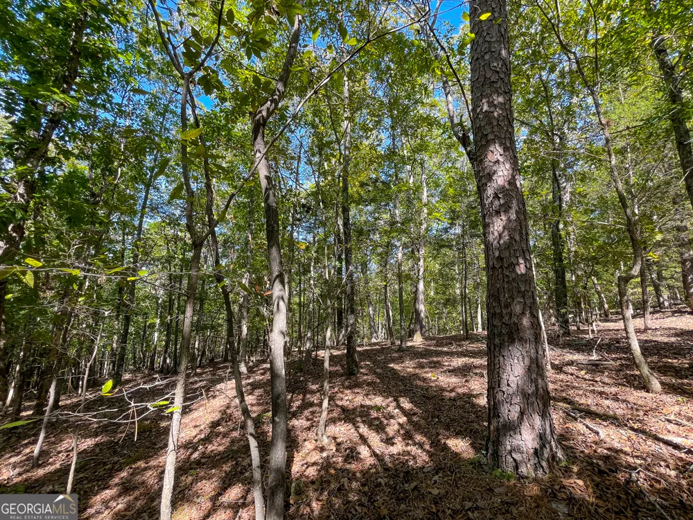 0 Webb Creek RD Rome, GA 30161