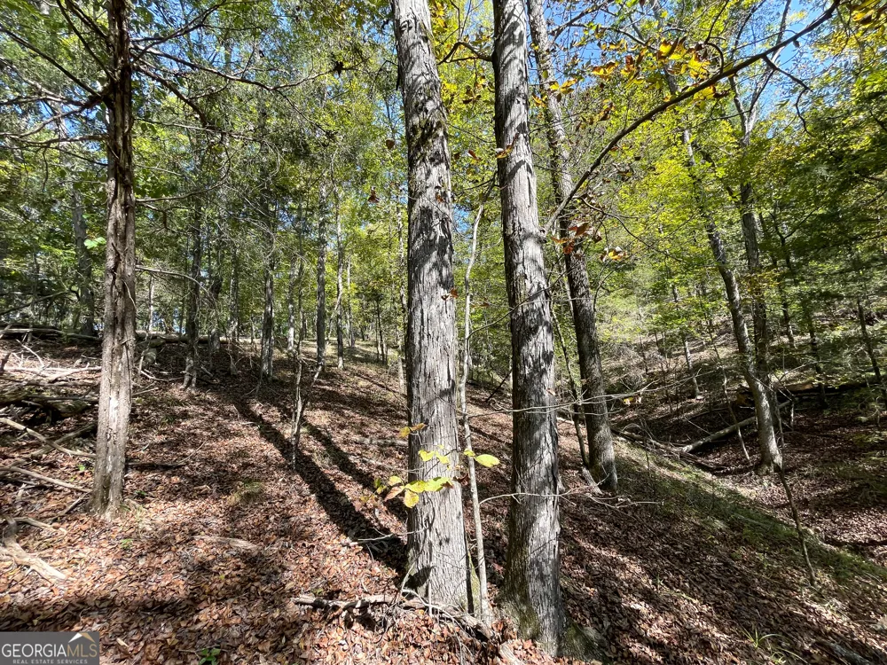 0 Webb Creek RD Rome, GA 30161