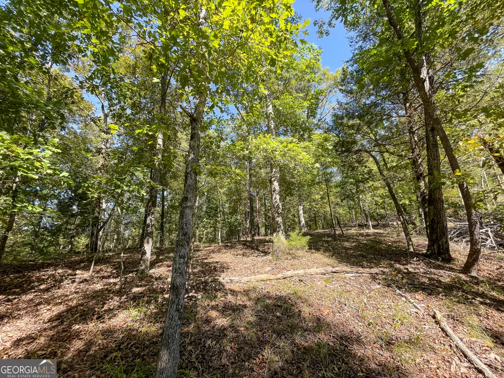0 Webb Creek RD Rome, GA 30161