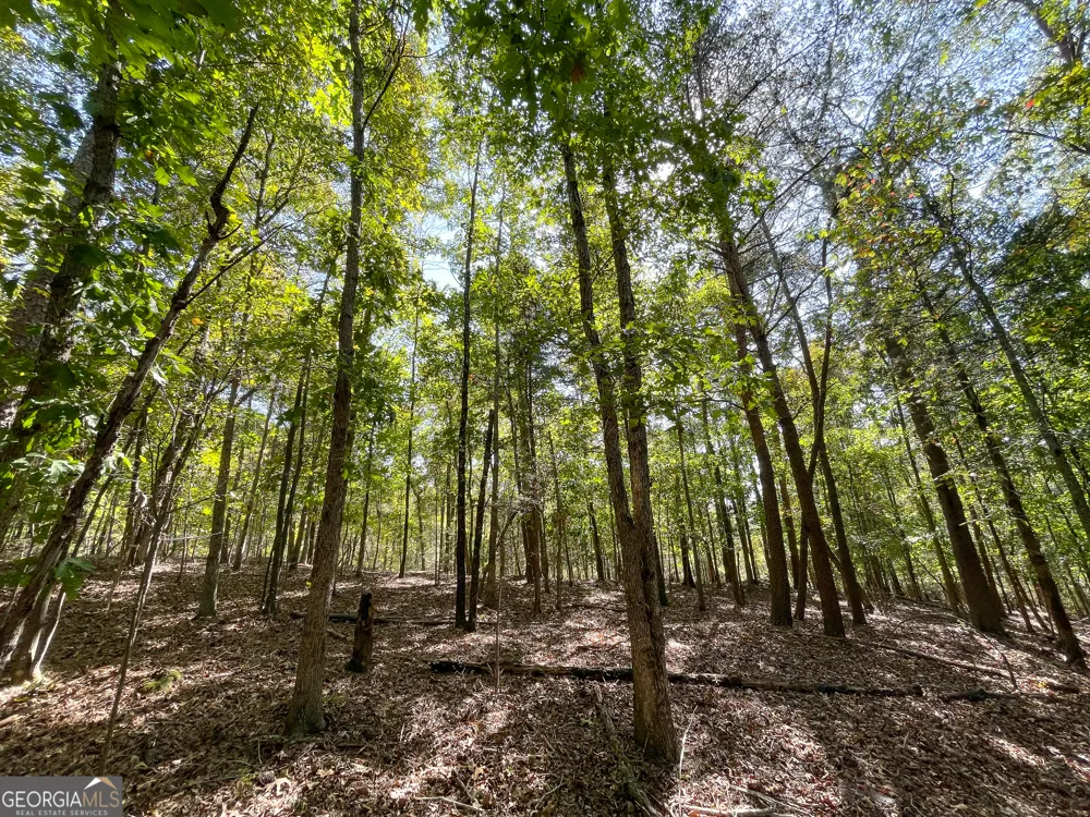 0 Webb Creek RD Rome, GA 30161