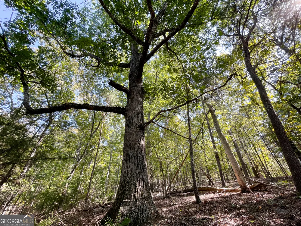 0 Webb Creek RD Rome, GA 30161
