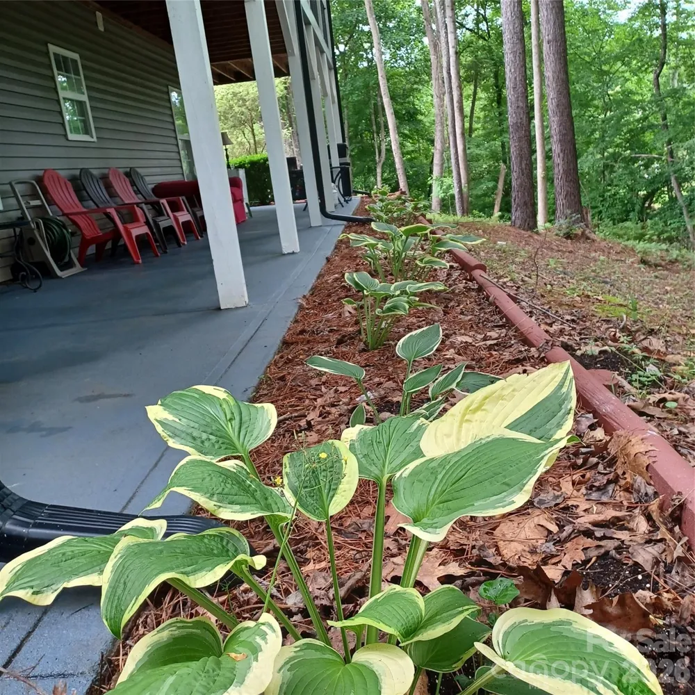 3645 Lake Bluff Drive Sherrills Ford, NC 28763