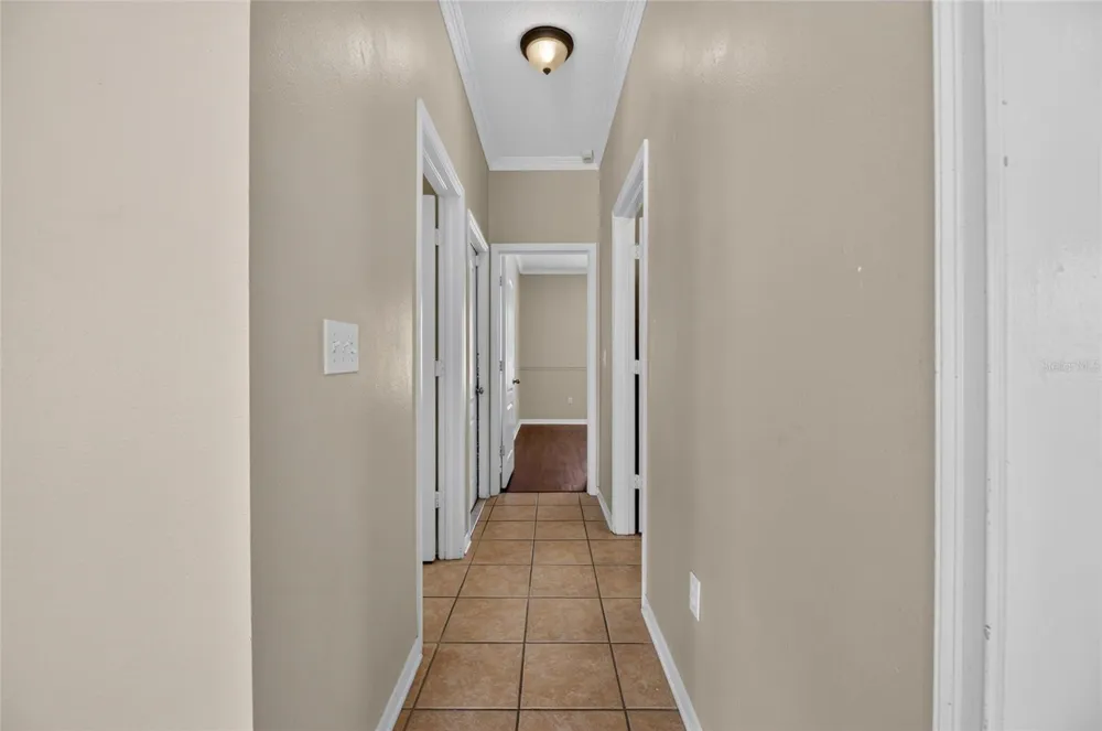 24519 BREEZY OAK COURT Lutz, FL 33559