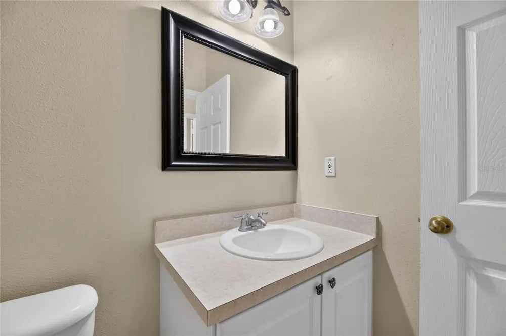 24519 BREEZY OAK COURT Lutz, FL 33559