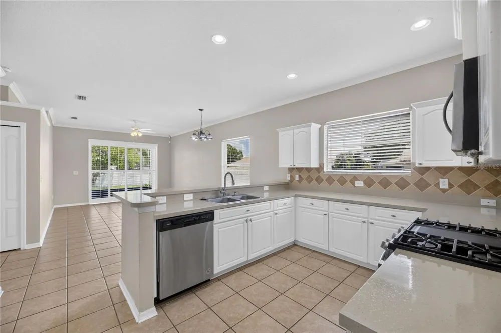 24519 BREEZY OAK COURT Lutz, FL 33559