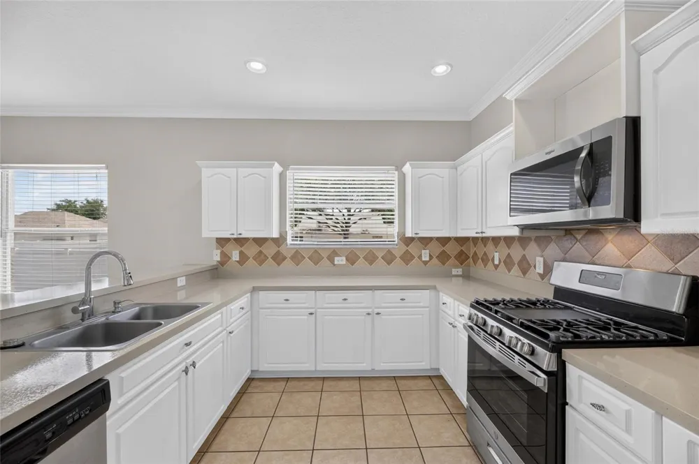 24519 BREEZY OAK COURT Lutz, FL 33559