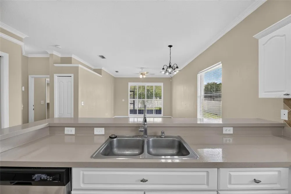 24519 BREEZY OAK COURT Lutz, FL 33559