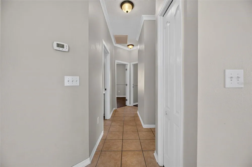 24519 BREEZY OAK COURT Lutz, FL 33559