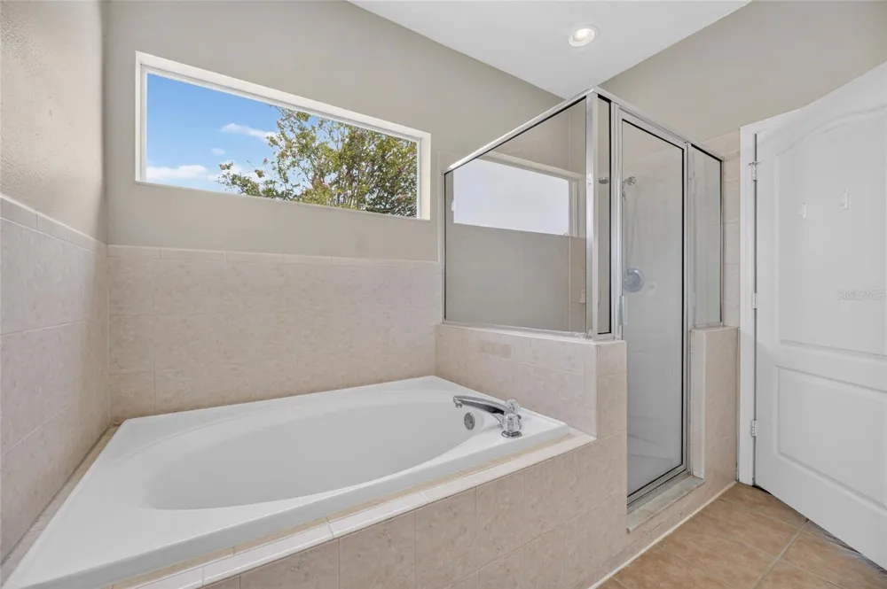 24519 BREEZY OAK COURT Lutz, FL 33559