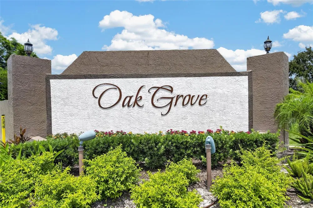 24519 BREEZY OAK COURT Lutz, FL 33559
