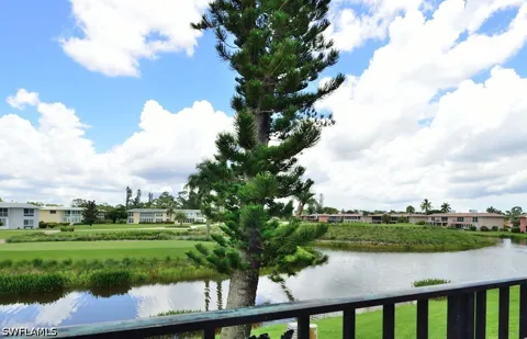 Palm Drive #229-2