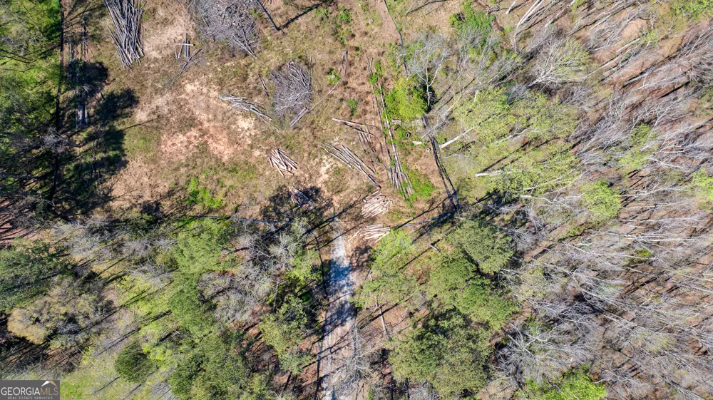 BTWN 1653 & 1693 Hwy 85 South Fayetteville, GA 30215