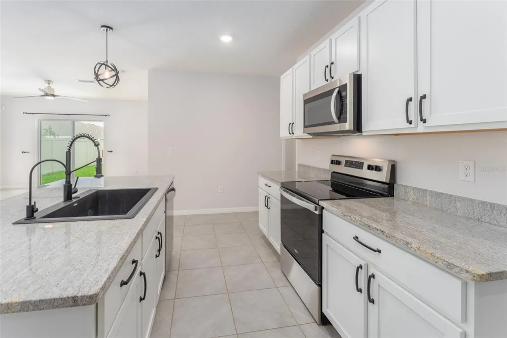 17031 BLISTER WING DRIVE Wimauma, FL 33598
